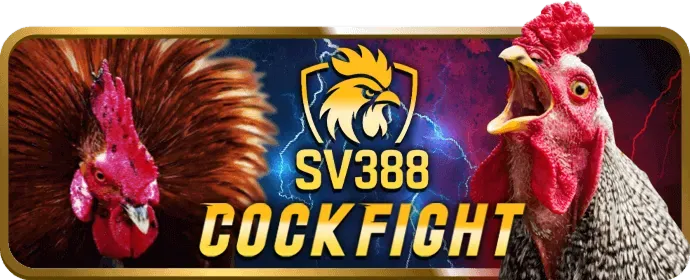Hoàn trả hàng ngày c54347